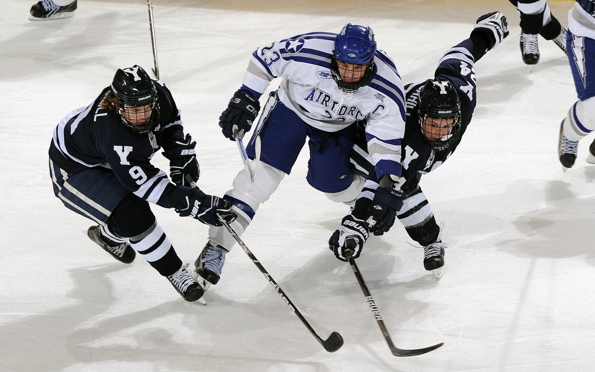 《电竞与高校合作:打造产学研一体化的新典范》,电竞学校和普通学校的区别